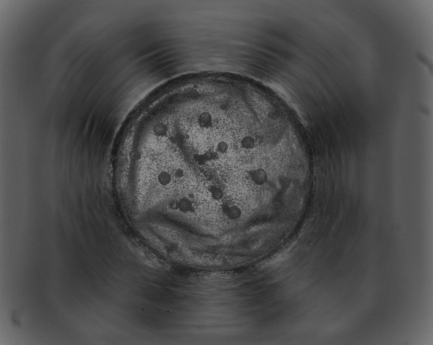 X0000093140879200710171327