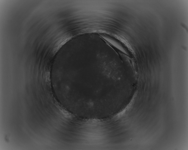 X0000093140881200710171327