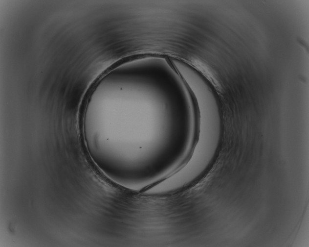 X0000093140884200710171327