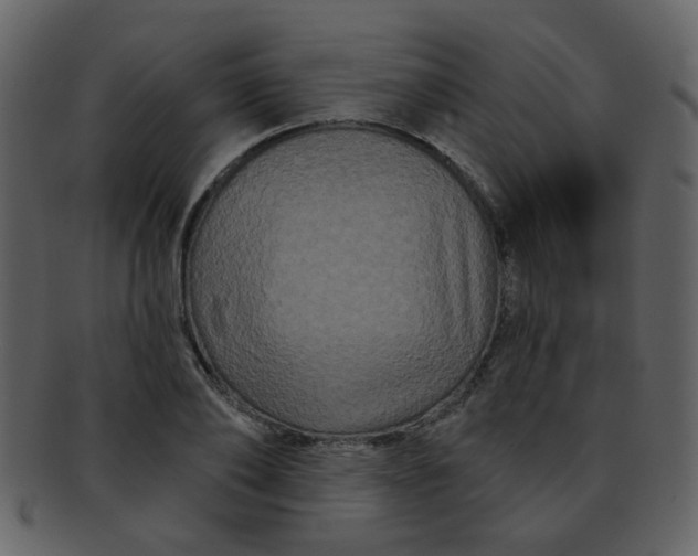 X0000093140886200710171326