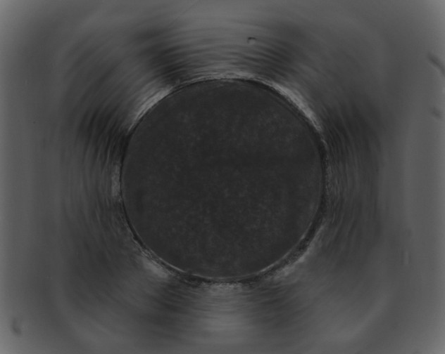 X0000093140889200710171326