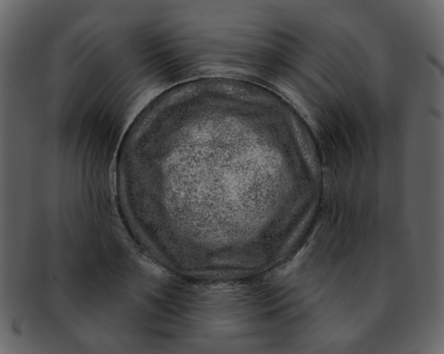 X0000093140891200710171326