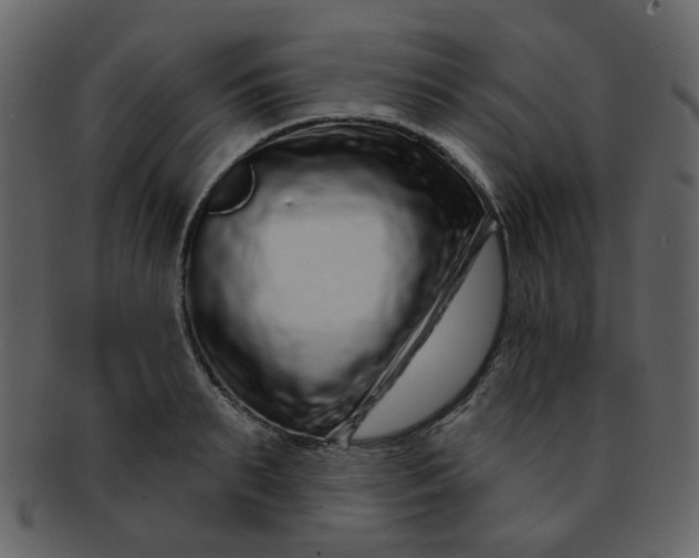 X0000093140895200710171326