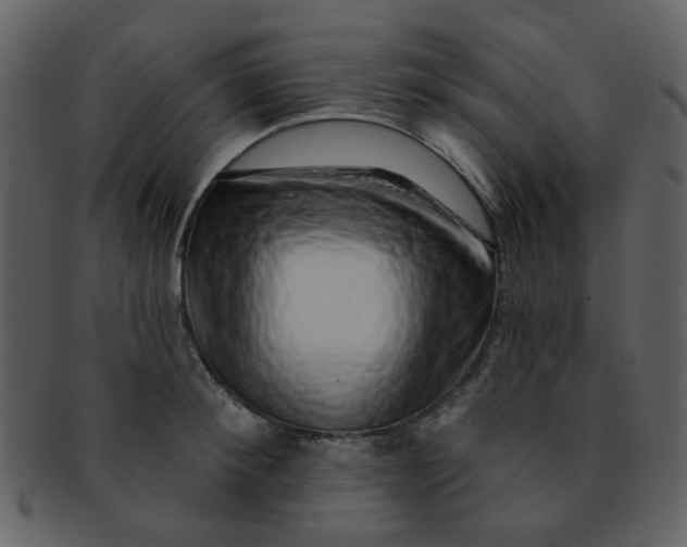 X0000093140900200710171326