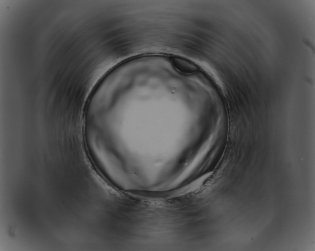 X0000093140903200710171326