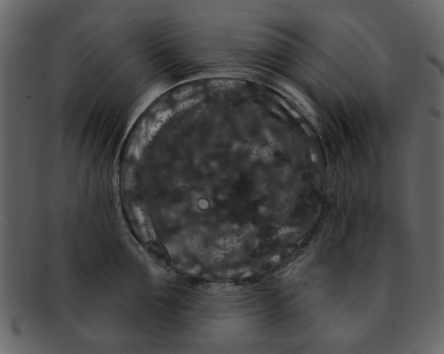 X0000093140907200710171326