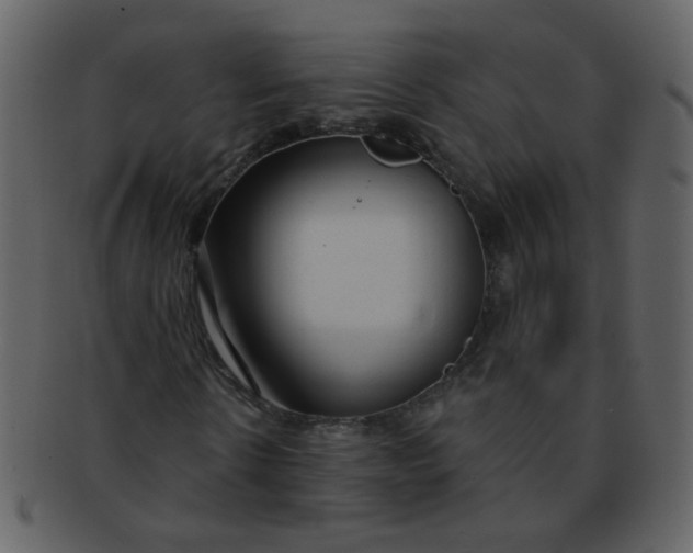 X0000093140914200710171325