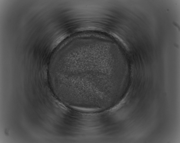 X0000093140921200710171326