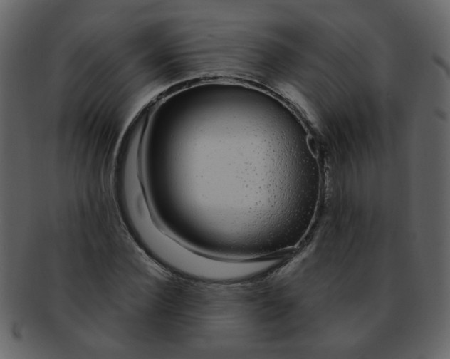 X0000093140924200710171326