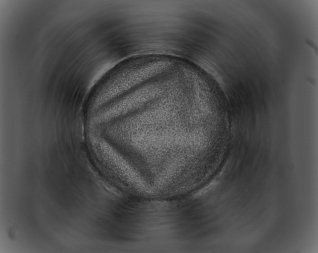 X0000093140925200710171326