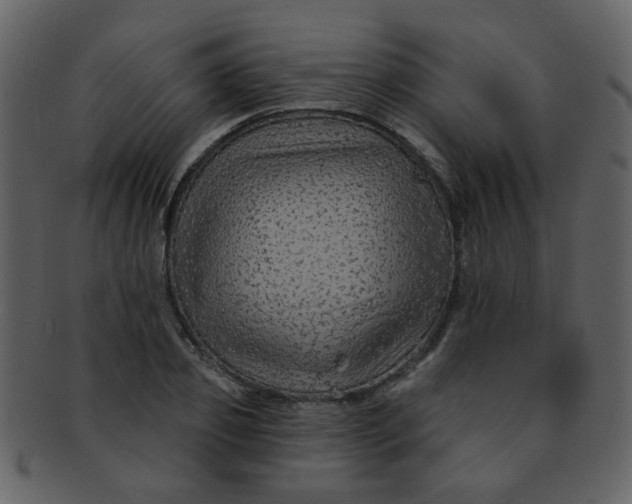 X0000093140933200710171326