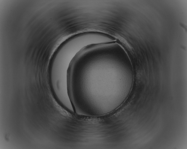 X0000093140934200710171326