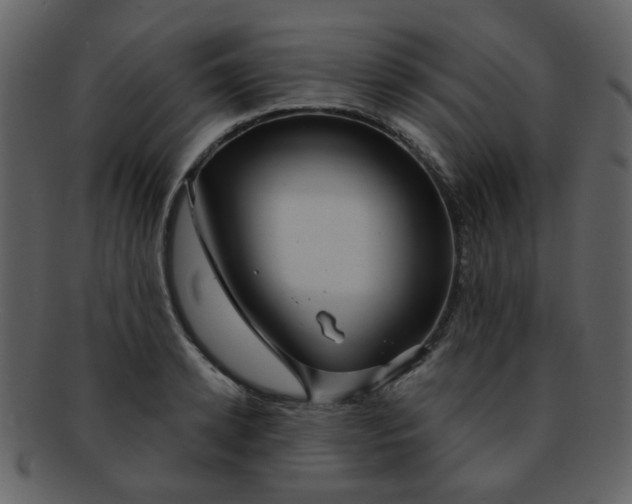 X0000093140942200710171326