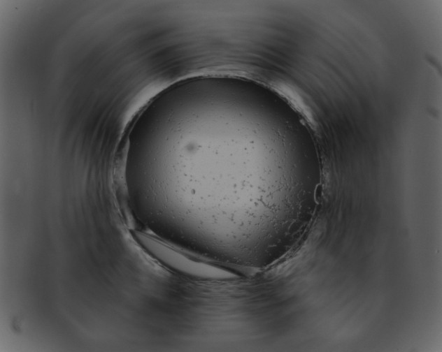 X0000093140952200710171326