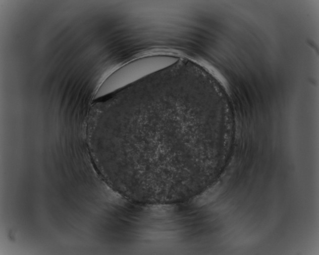 X0000093140953200710171326