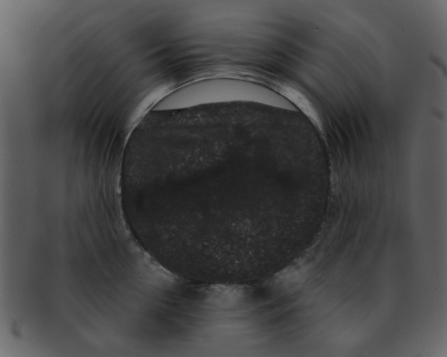 X0000093140954200710171326