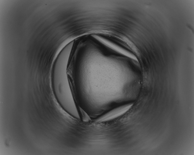 X0000093140955200710171326