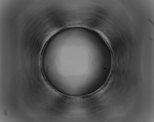 X0000093140957200710171326