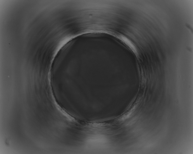 X0000093140958200710171326