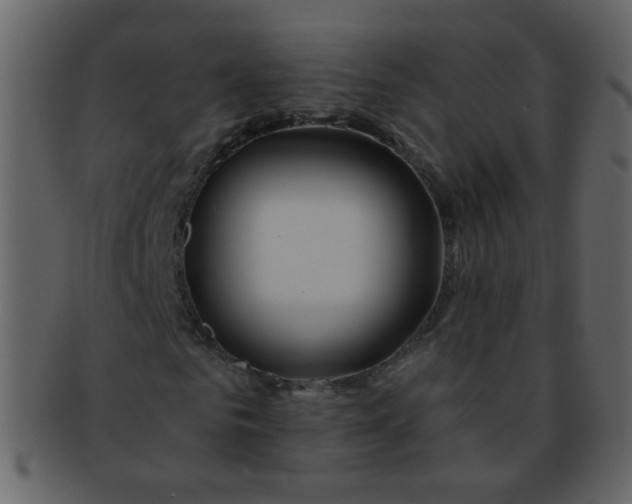 X0000093140961200710171325