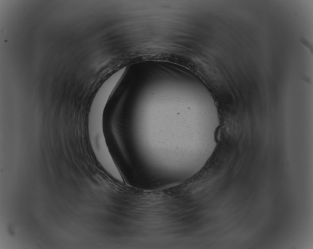 X0000093140964200710171325