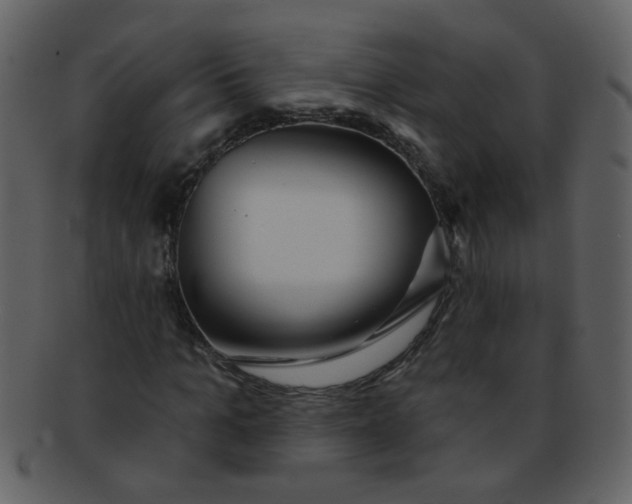 X0000093140965200710171325