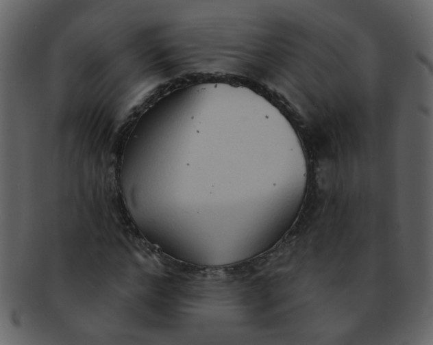 X0000093140968200710171325