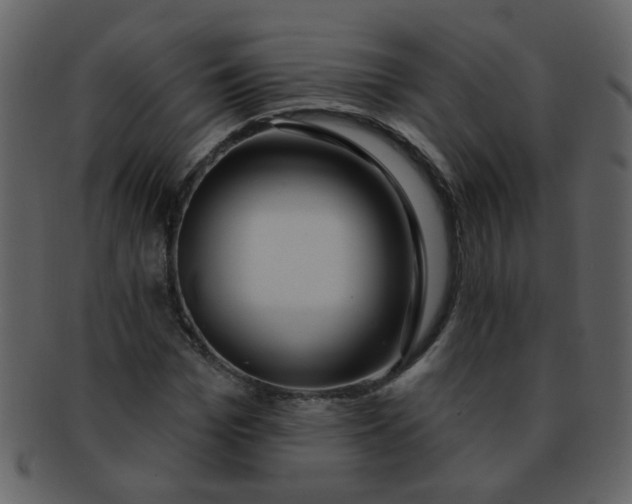 X0000093140969200710171325