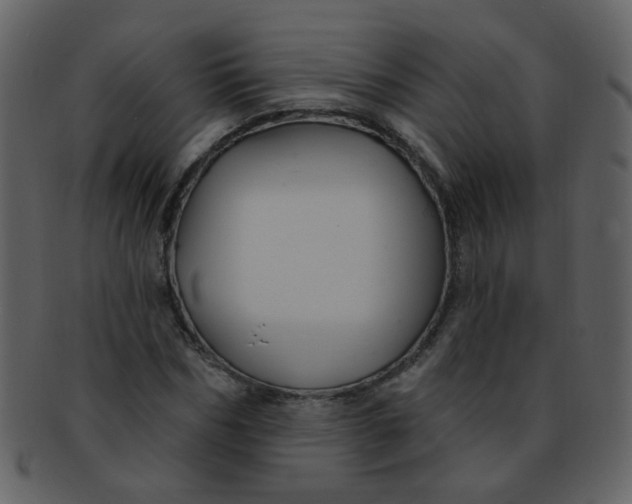 X0000093140970200710171325