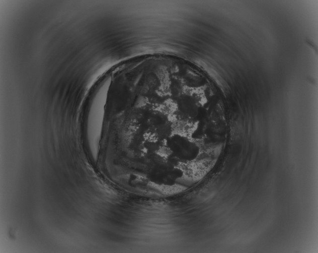 X0000093140975200710171325