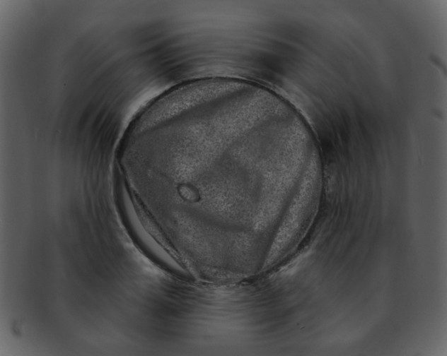 X0000093140987200710171325