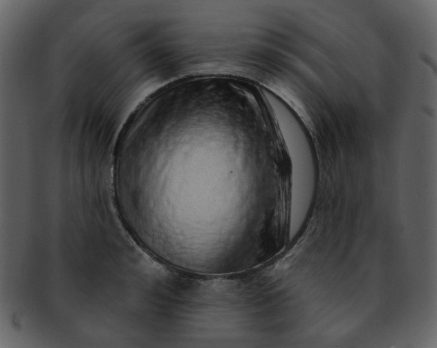 X0000093140992200710171325