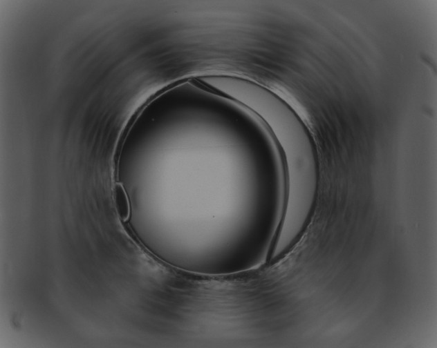 X0000093140996200710171325