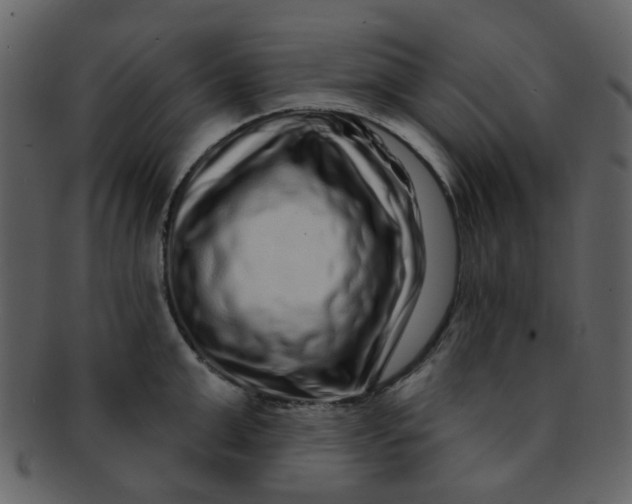 X0000093140999200710171325