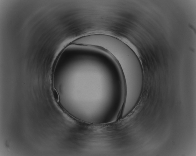 X0000093141005200710171325