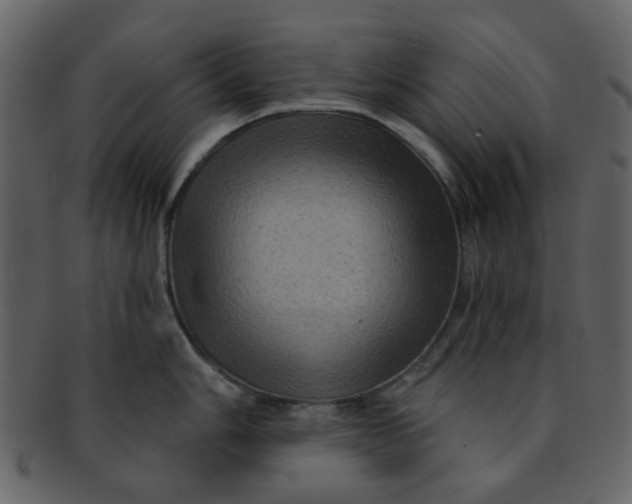 X0000093141006200710171325