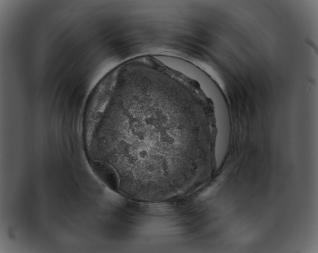 X0000093141007200710171325