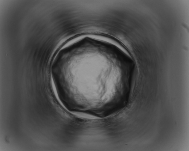 X0000093141008200710171325