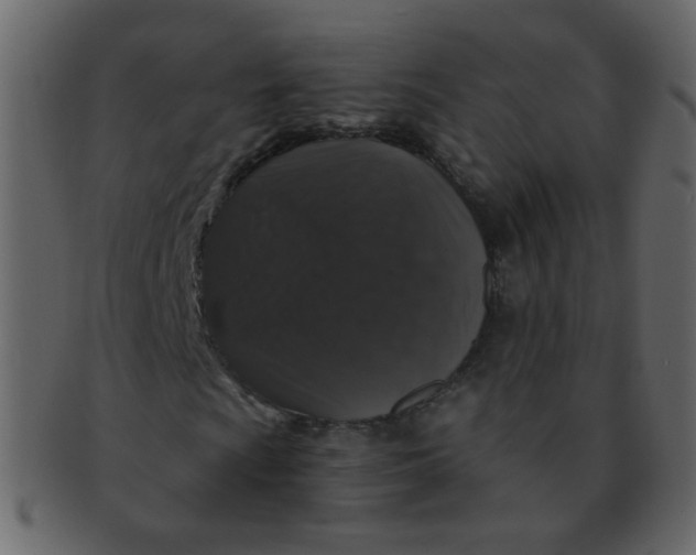 X0000093141009200710171324