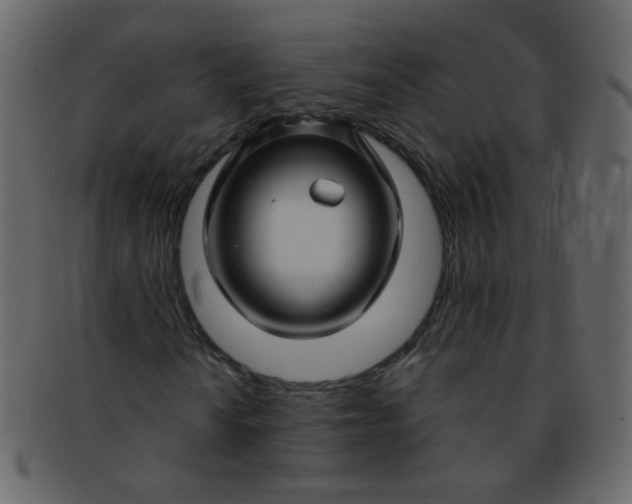 X0000093141010200710171324