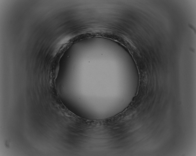 X0000093141016200710171324