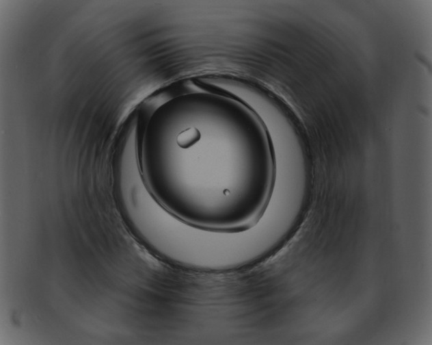 X0000093141018200710171324