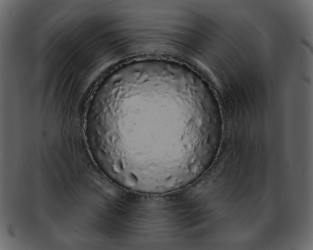 X0000093141019200710171324