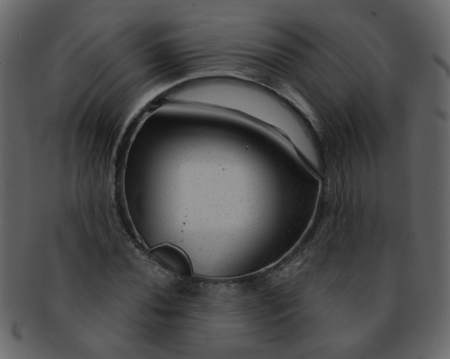 X0000093141020200710171324