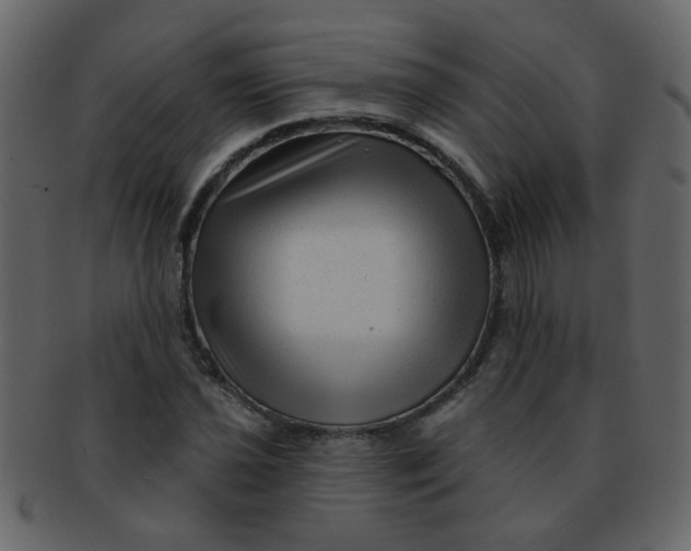 X0000093141021200710171324