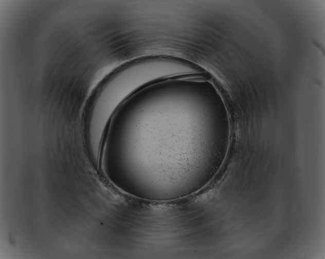 X0000093141022200710171324