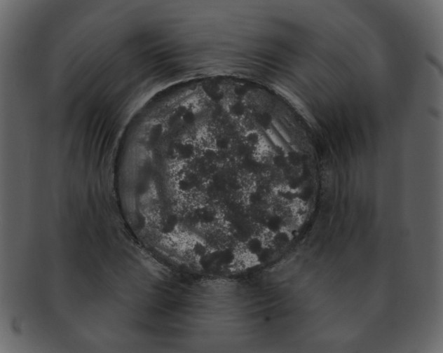 X0000093141023200710171324