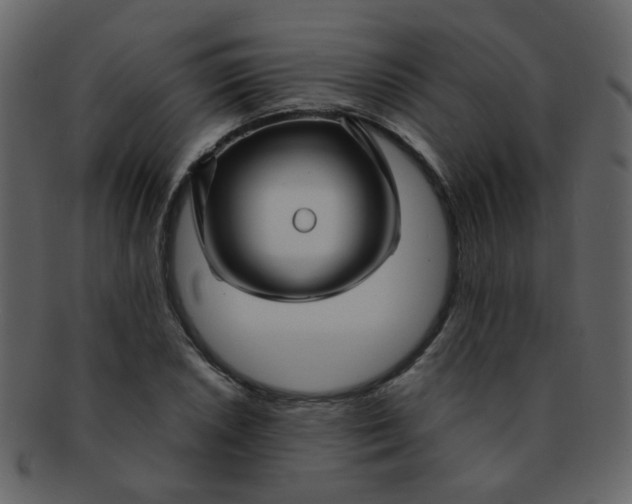 X0000093141026200710171324