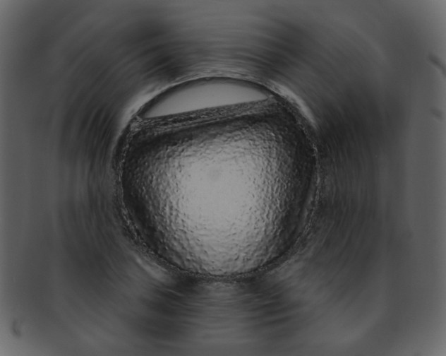 X0000093141027200710171324