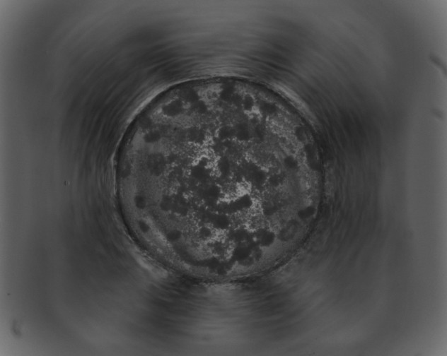 X0000093141031200710171324